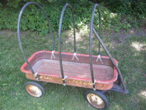 Pioneer Day Possibilities