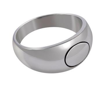 Joseph Smith Ring  -  Stainless Steel