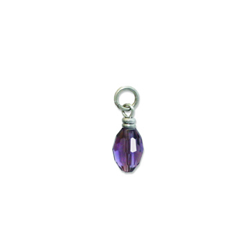 February Birthstone Charm