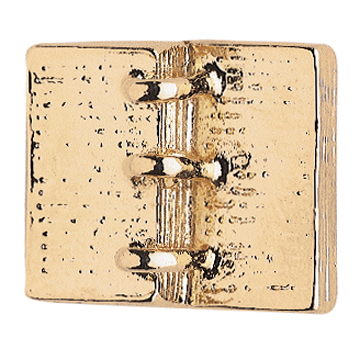 Golden Plates Tie Tack